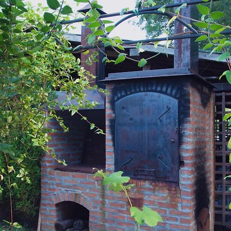 Vila Ljubica Vrnjačka Banja Buitenkant foto